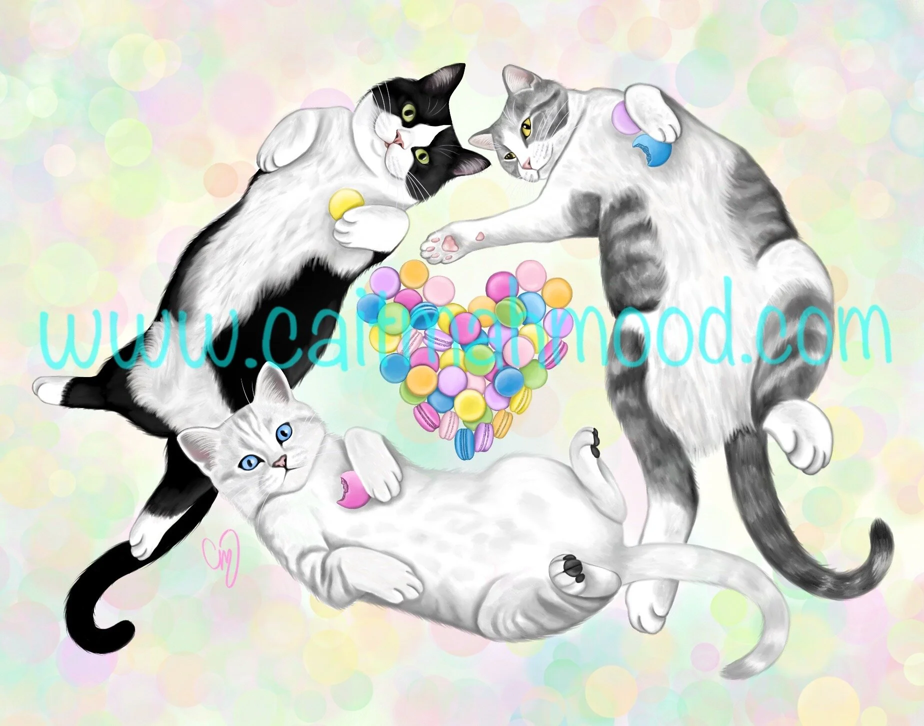 Meowcaron Meownagerie