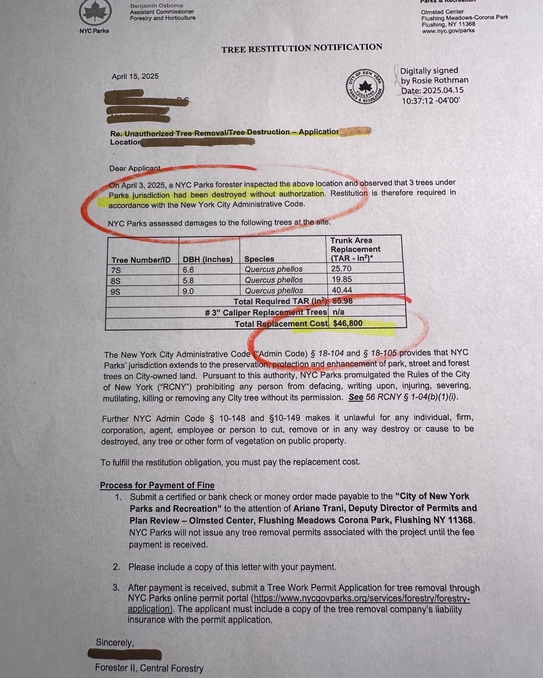 Please DO NOT cut down NYC Trees without a NYC Parks Permit.