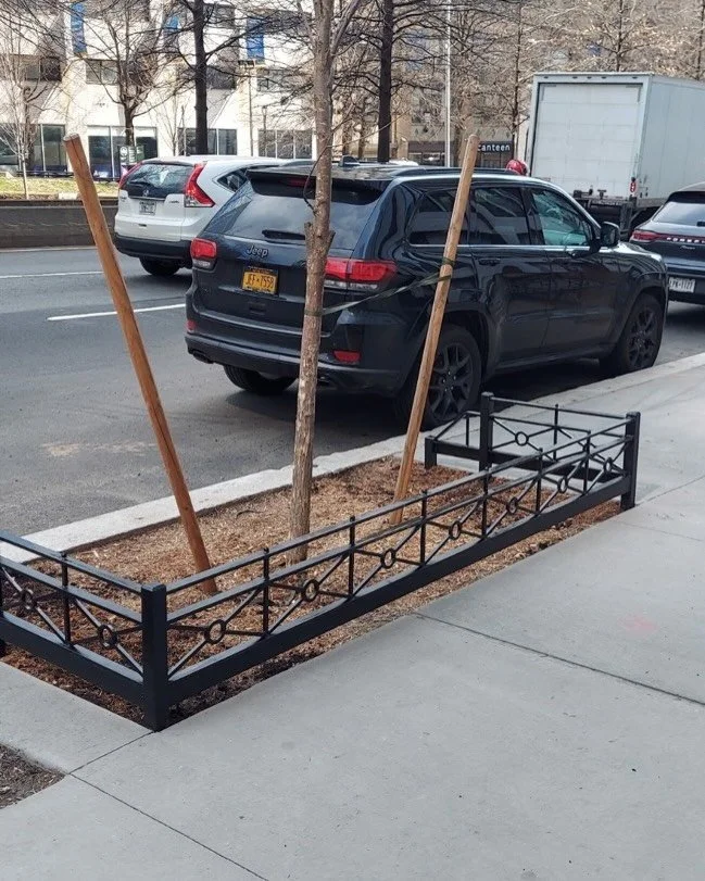 #treeguards #nyclandscape #nycparksdept #nycparksdepartment #nyctrees