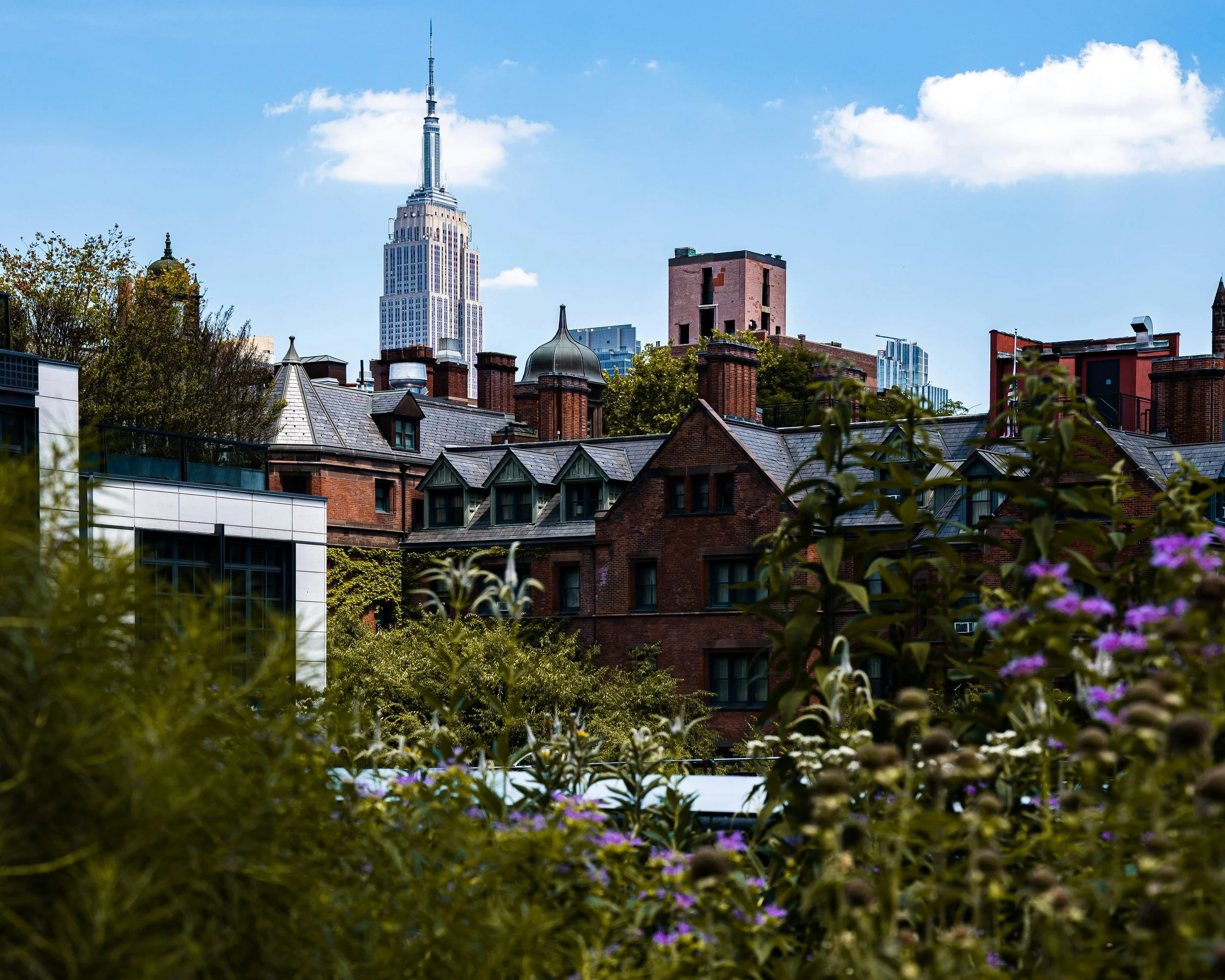 How NYC Building Rules Affect Your Rooftop Garden Design
