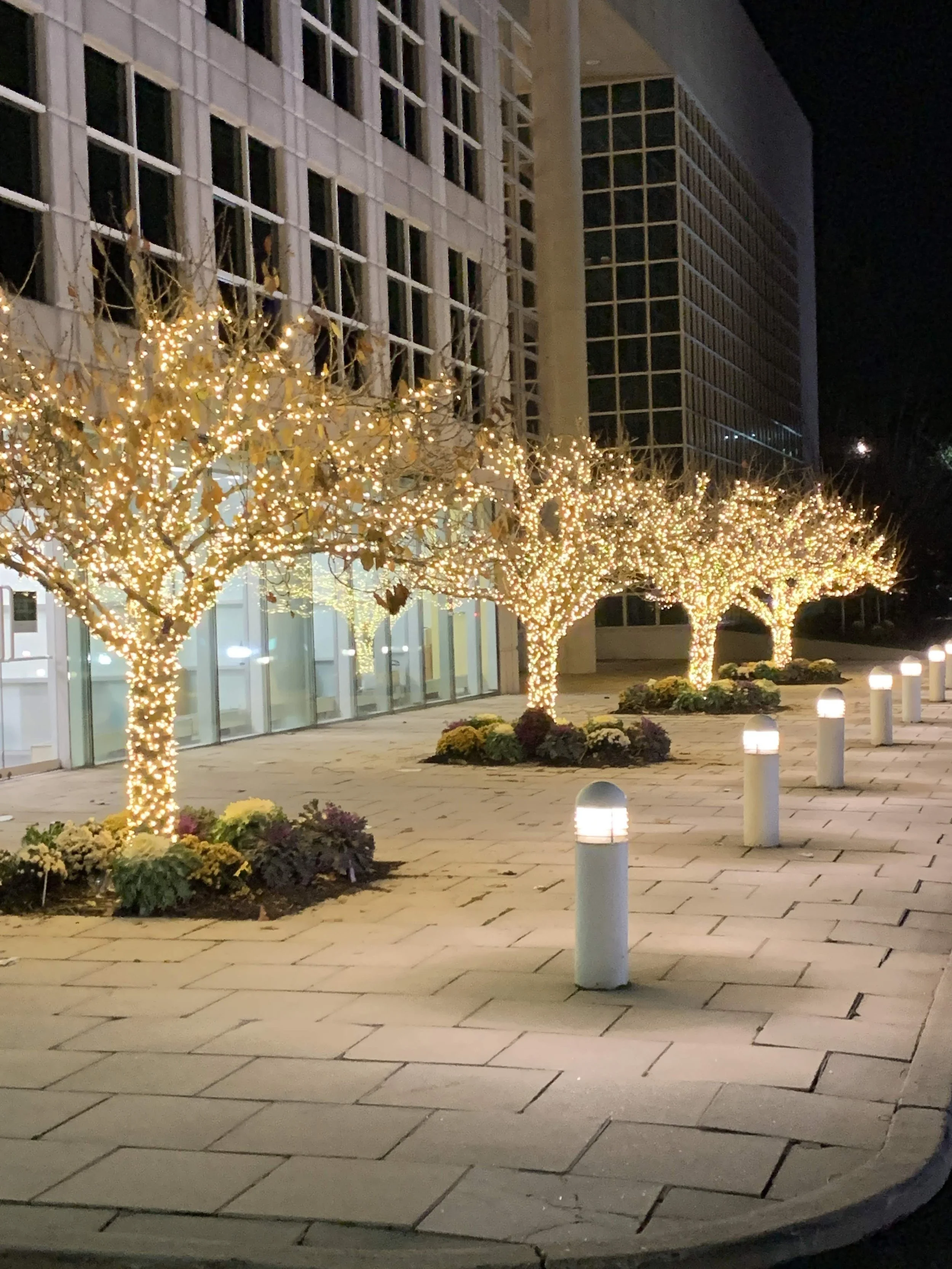 What Landscapers Really Do in the Winter: Behind the Scenes in New York City