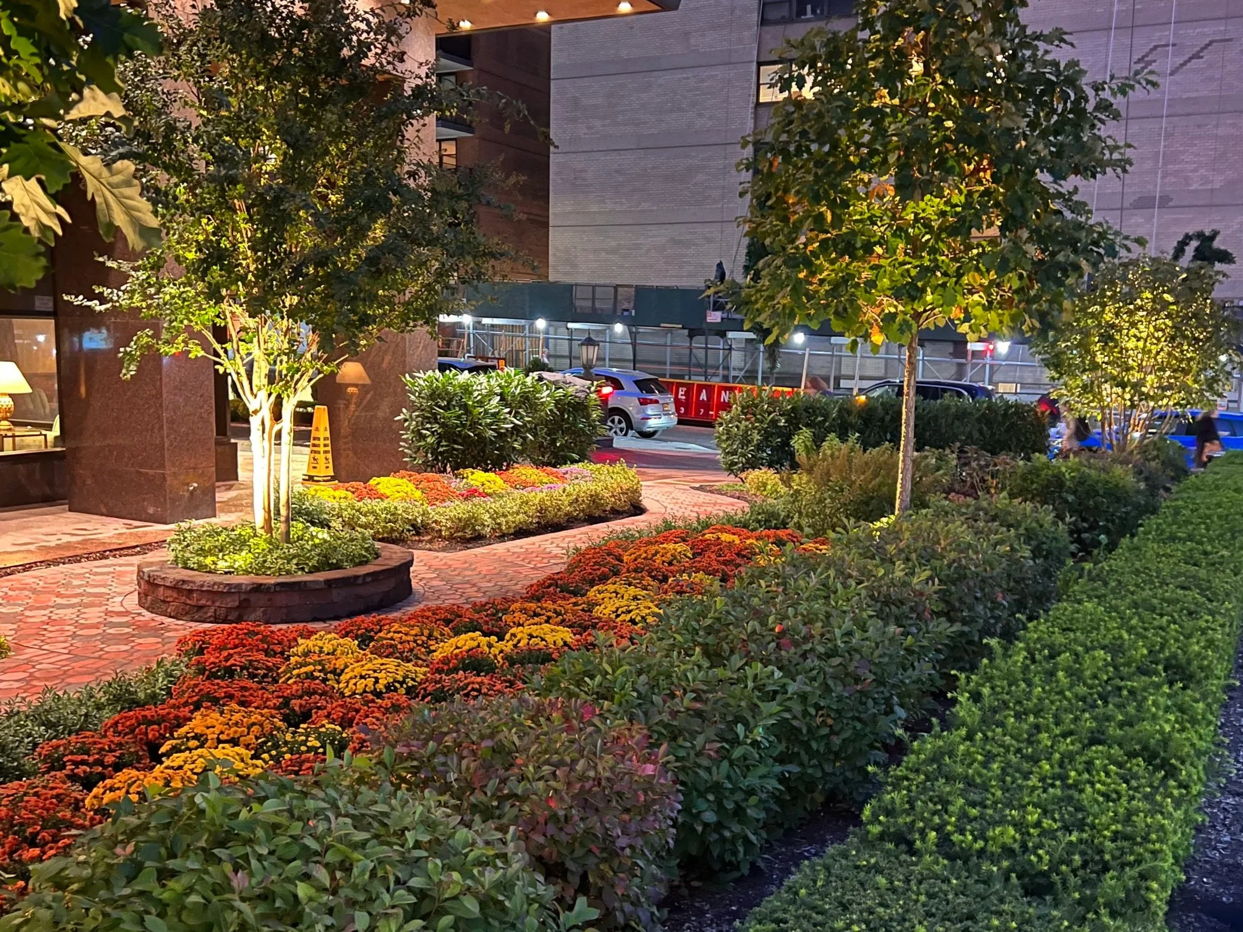 Landscaped city walkway at night with flowering beds, trimmed shrubs, and small trees illuminated by warm lighting.