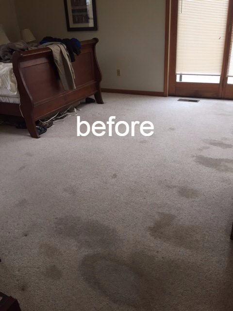 BEFORE1.png