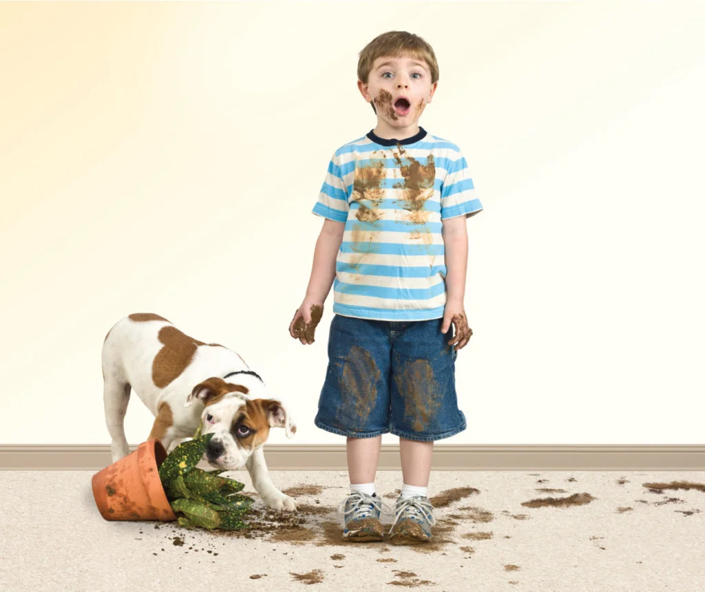 dirty-carpet2.jpg