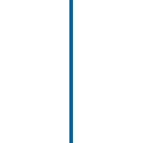 Lions-line-blue.png