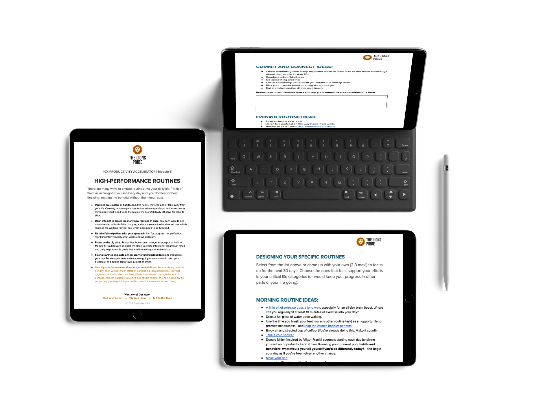 THE LIONS PRIDE HIGH-PERFORMANCE ROUTINES TIPSHEET