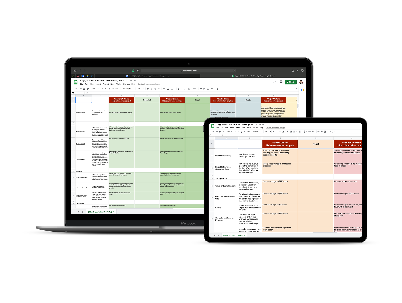 THE LIONS PRIDE DEFCON FINANCE TOOL