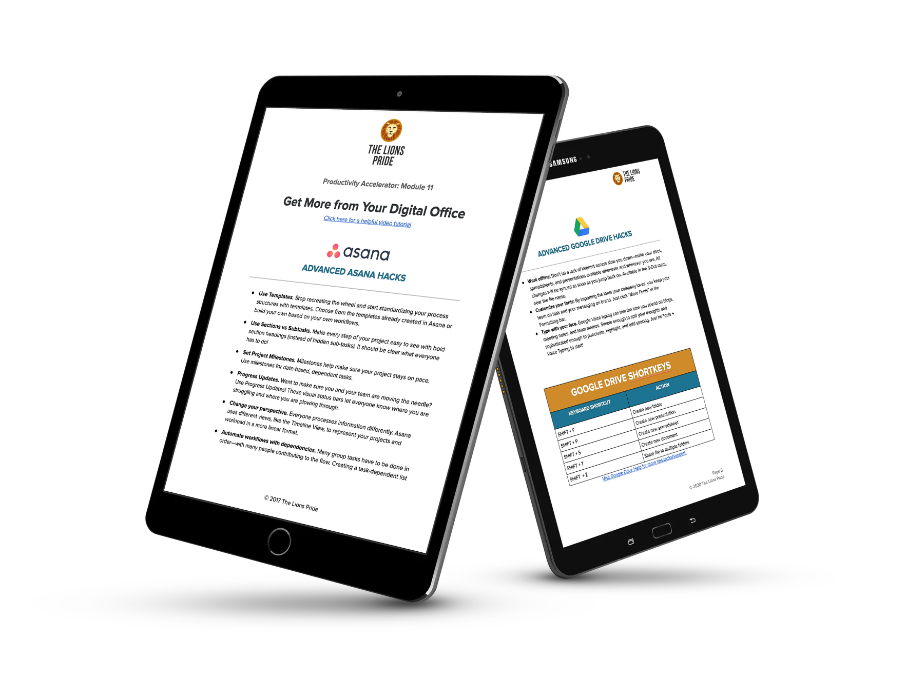 THE LIONS PRIDE DIGITAL OFFICE HACKS