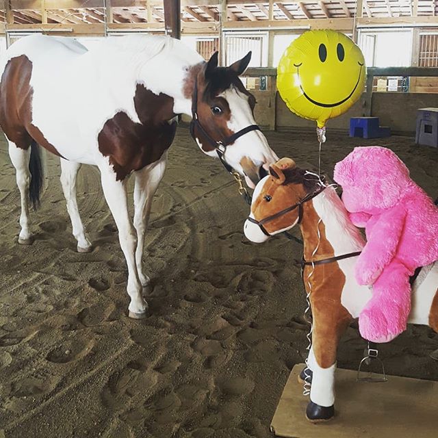 We're having all kinds of fun here at our inaugural Bombproof Clinic! Who's ready for the ride through session this afternoon?!
#PortOrchard #equestrian #bravehorses #happyriders #barnfamily #saturdaysarebestspentatthebarn