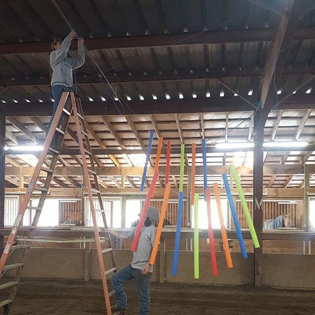 Teamwork makes the dream work! Gearing up for Day 2 of the Bombproof Clinic and ready for another great day 🐴

#PortOrchard #equestrian #horses #horselife #thisishowwedoit