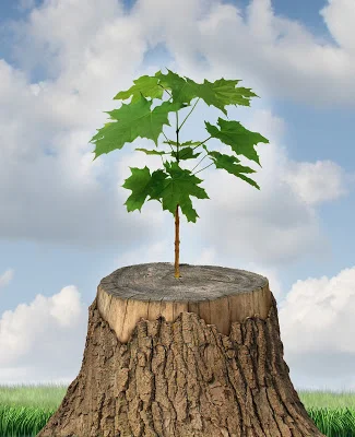 bigstock-New-Development-46825489.jpg