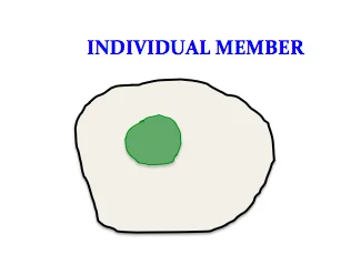Turquet - INDIVIDUAL MEMBER.jpg