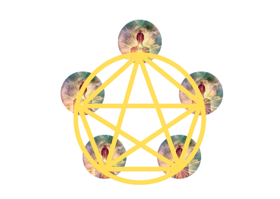 Meditación Pentáculo.png