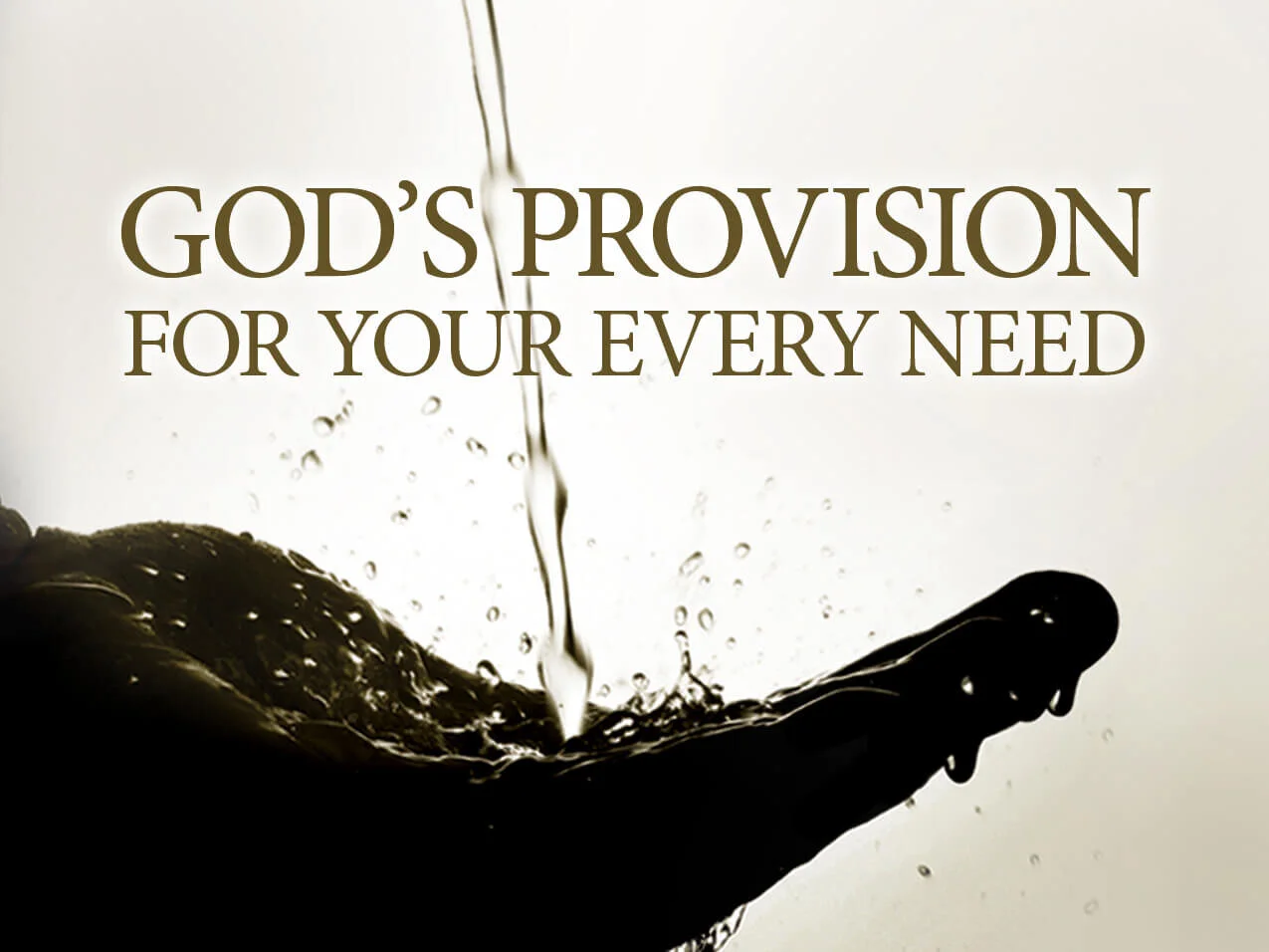 God'sProvision.jpg
