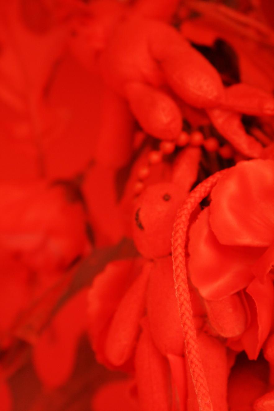 big, red & shiny_005.jpg