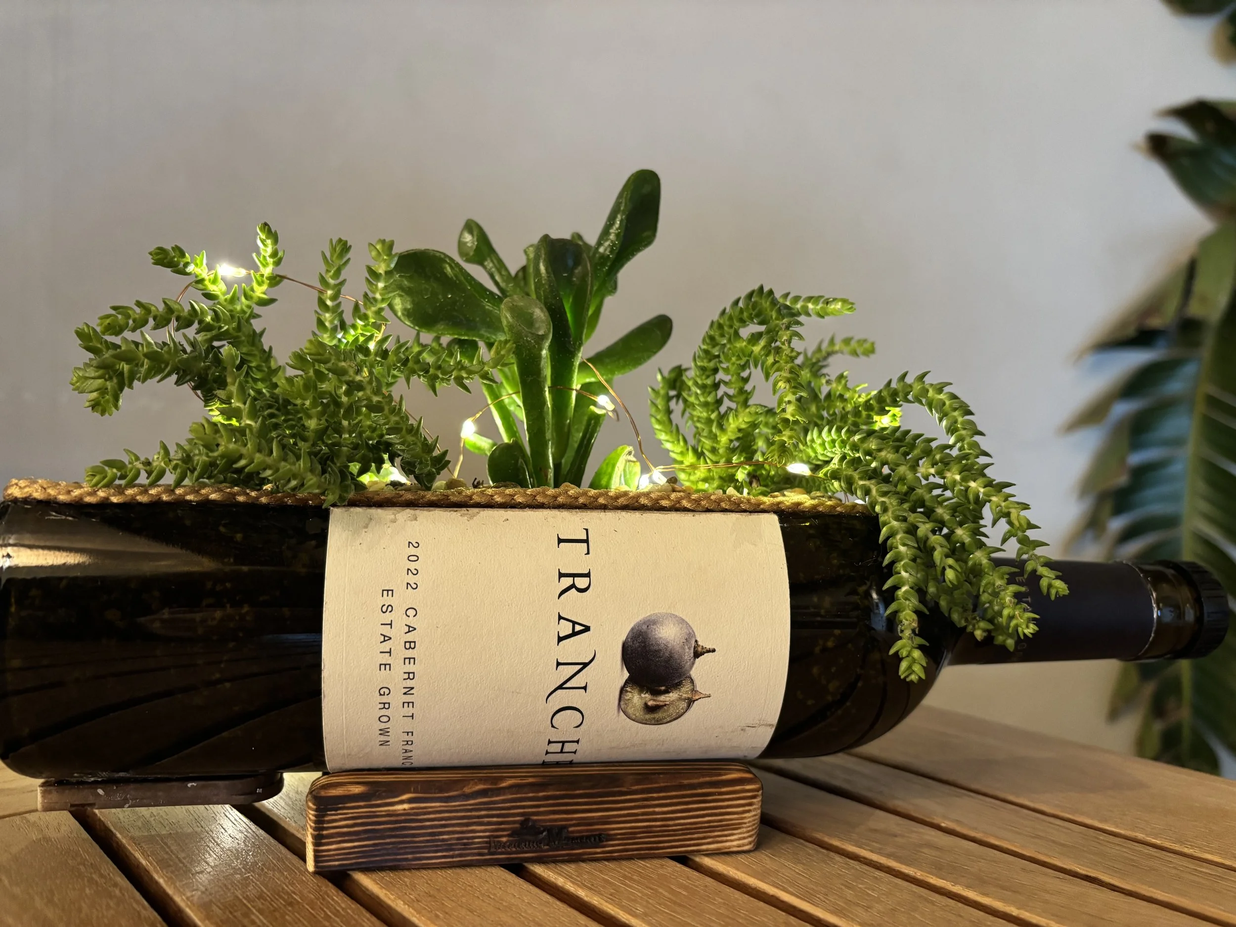 Wine Bottle Succulent Class @ Tranche