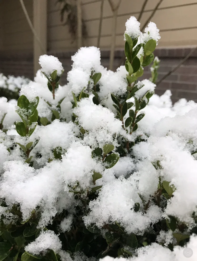 Unorthodox Words Sneak Peek Pt. 3