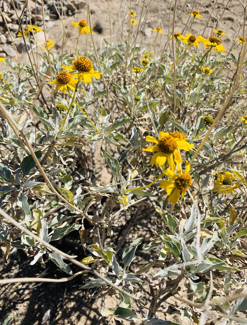 Unorthodox Words Sneak Peek Pt. 4