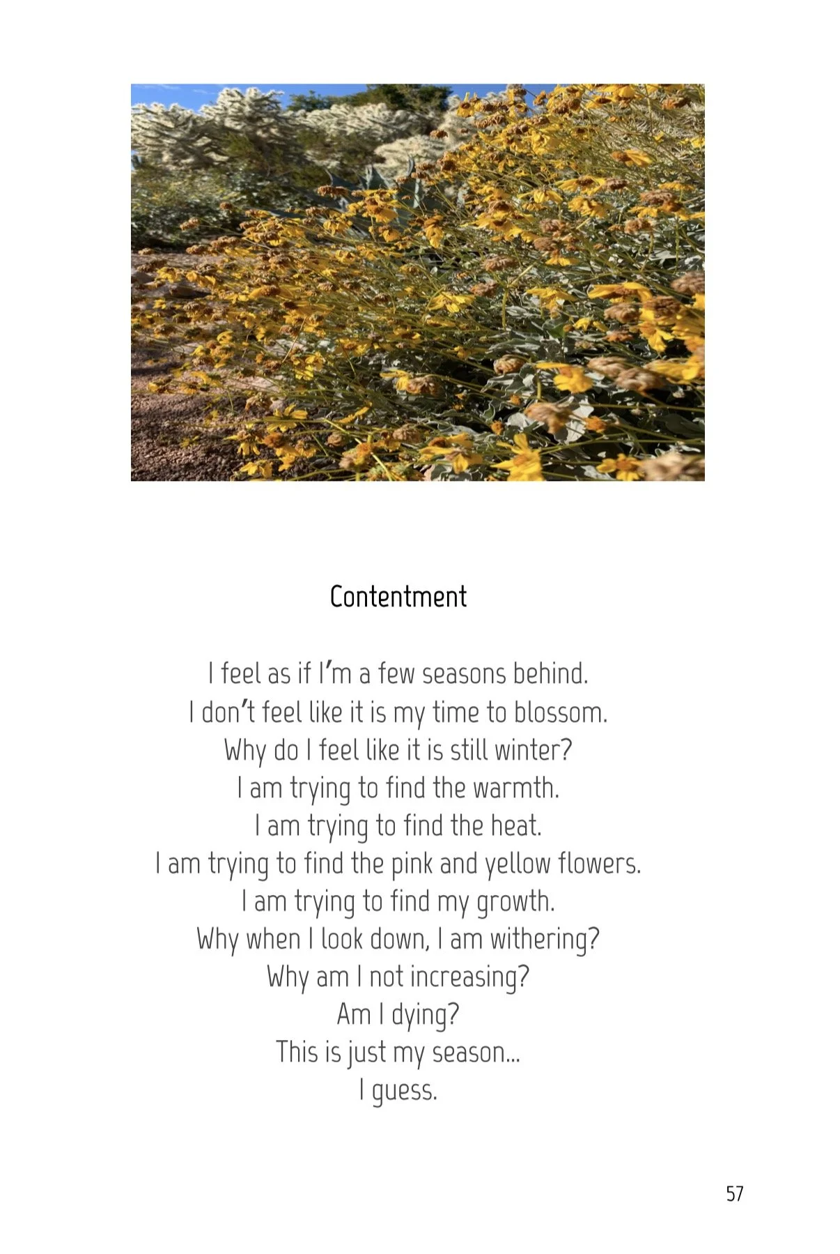 038AB47F-2407-403E-B3AA-AD5DF9E43F67.jpeg