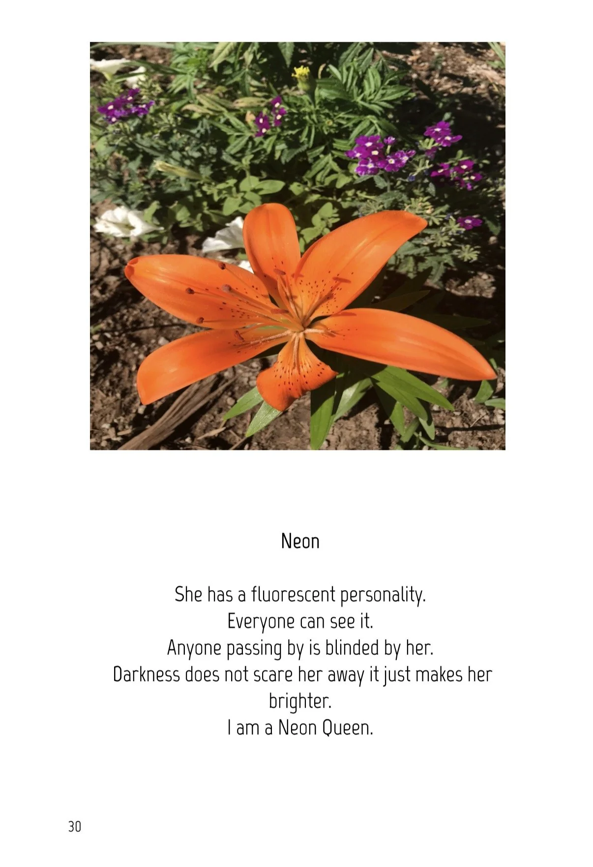 7DDED200-D4EF-430B-868F-B00A53C15230.jpeg
