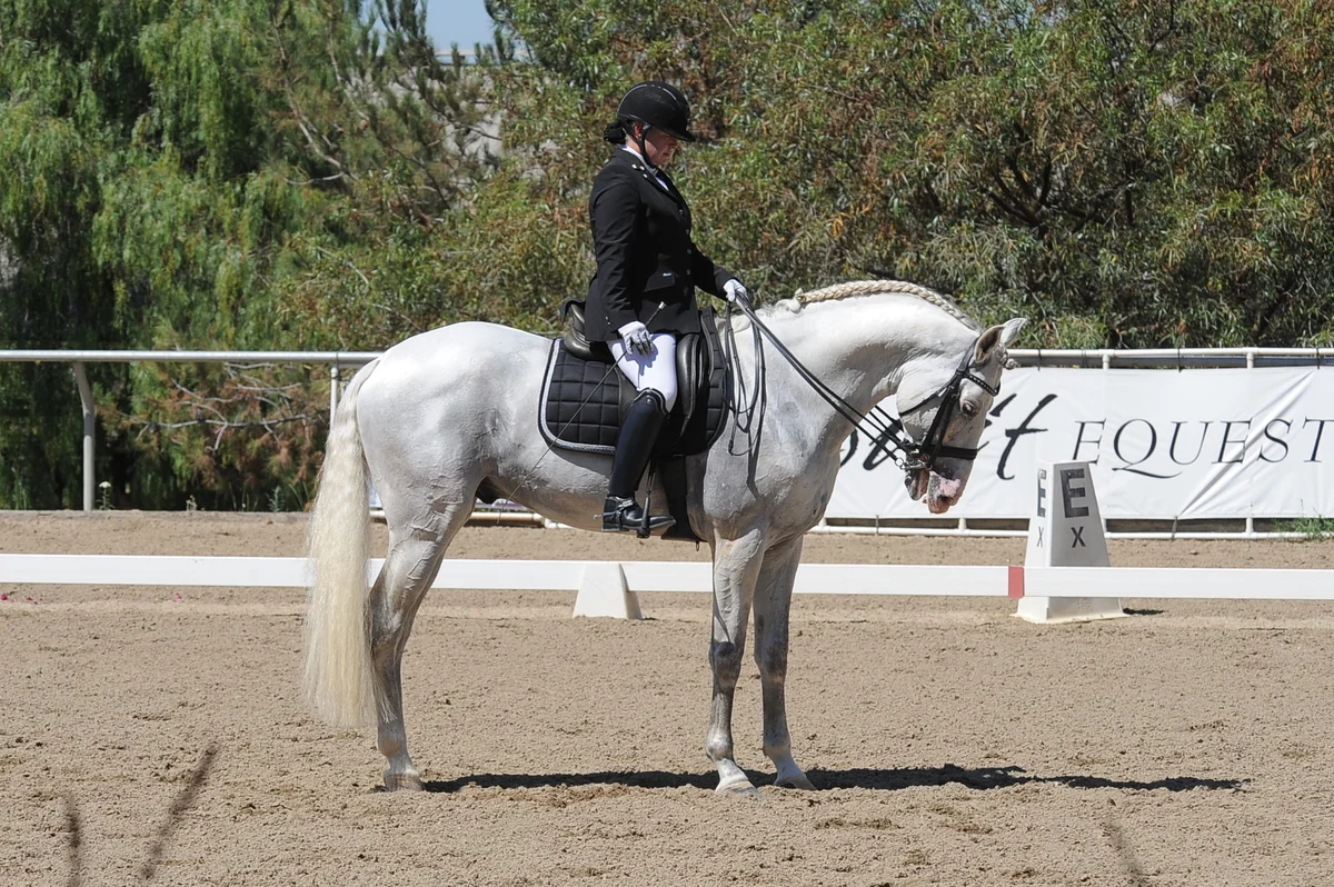 dsc_6387.jpg