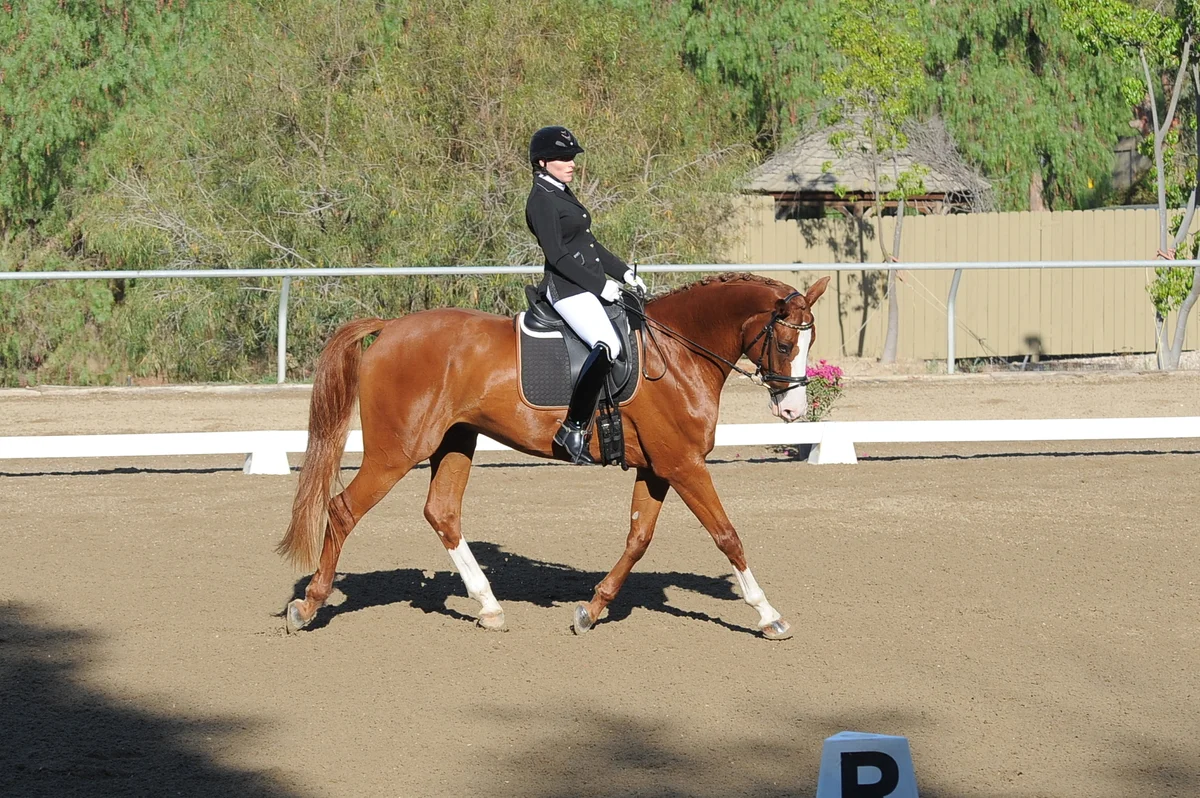 dsc_5113.jpg