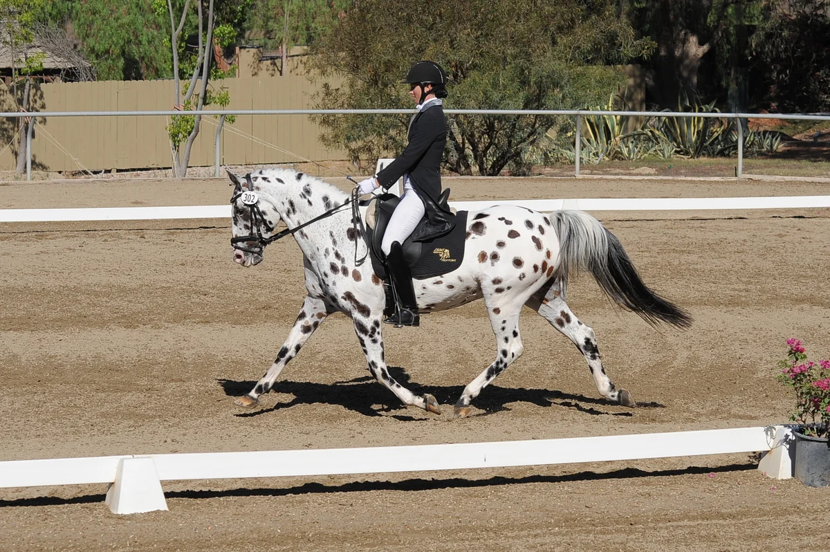dsc_5238.jpg