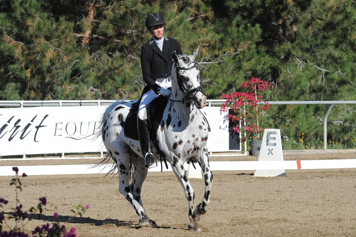 dsc_3147.jpg