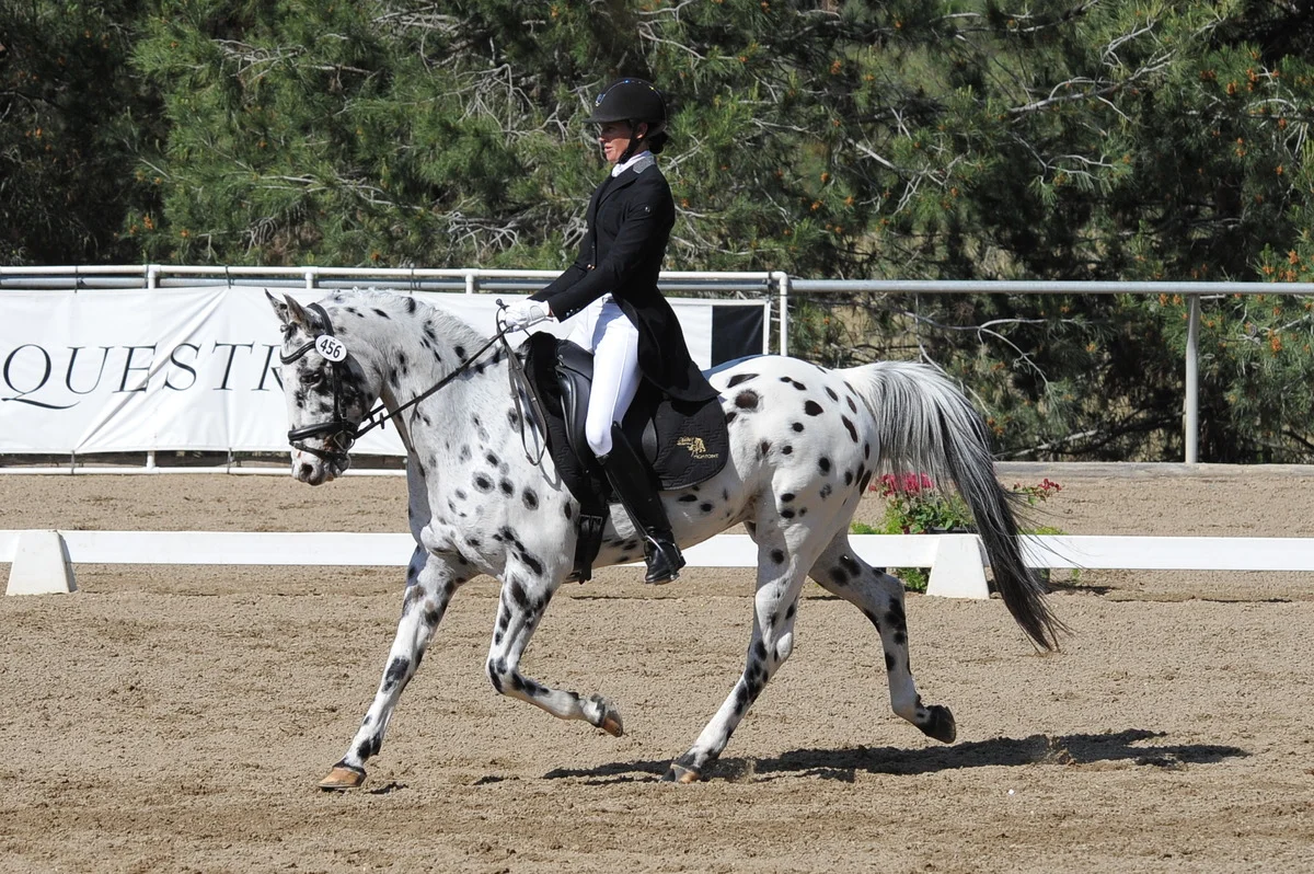 dsc_8835.jpg