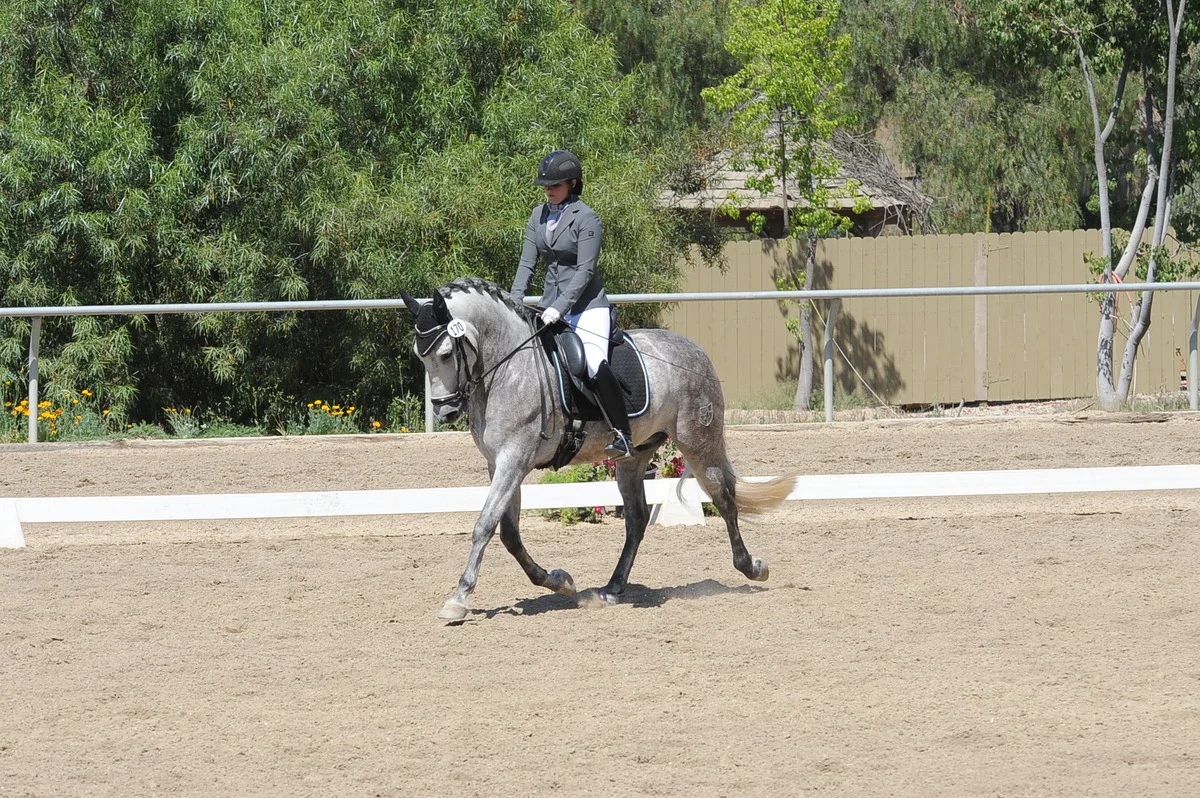 dsc_3834.jpg