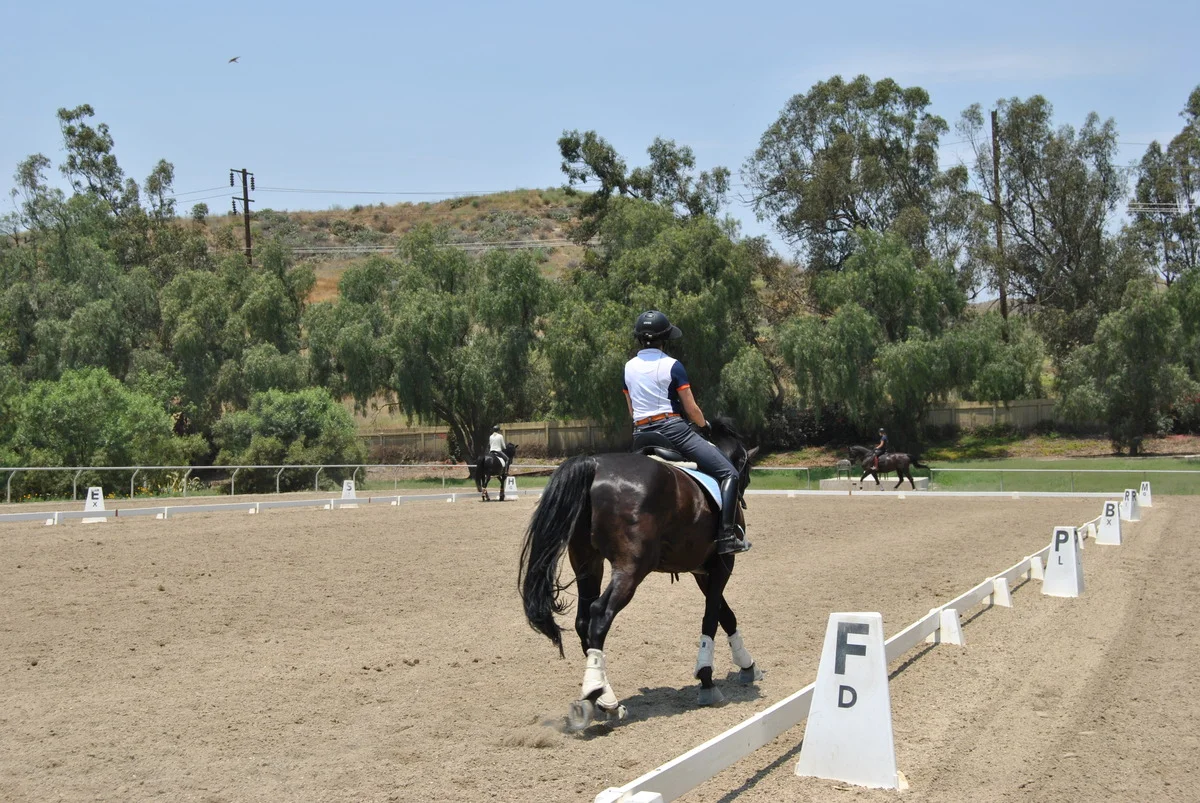 Lessons in the North Dressage Arena.