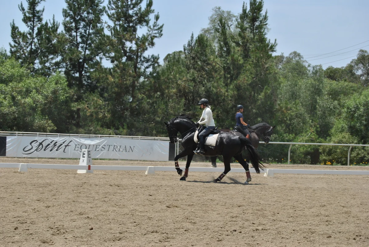 Lessons in the North Dressage Arena.