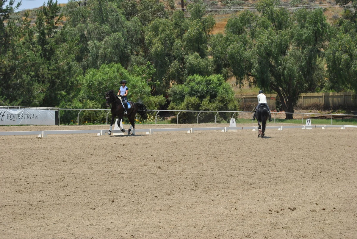 Lessons in the North Dressage Arena.