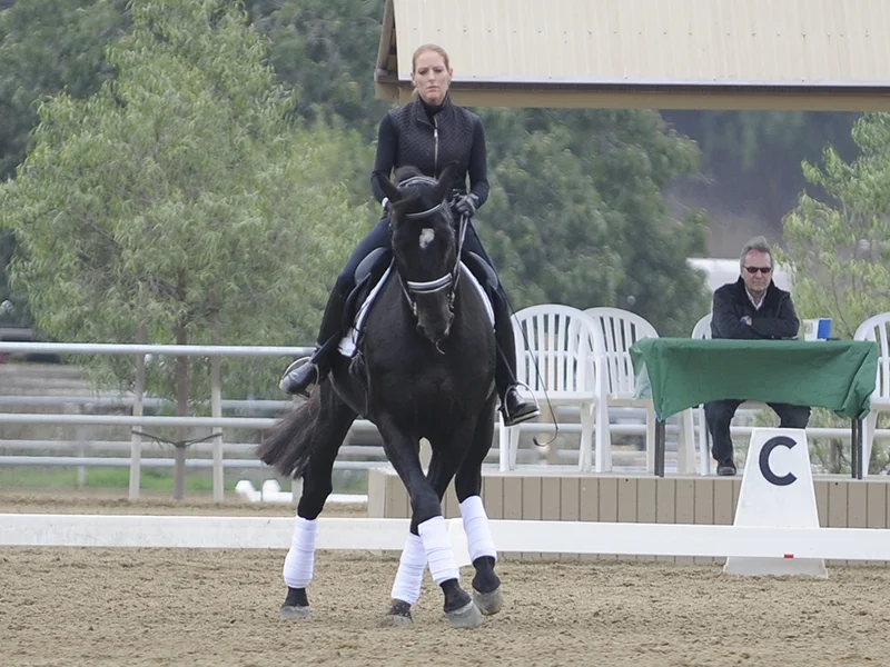 Kim Kulesa teaches horses and riders to reach their full potential. Her students have been top in Hawaii, California and USDF year end award winners through the FEI levels.