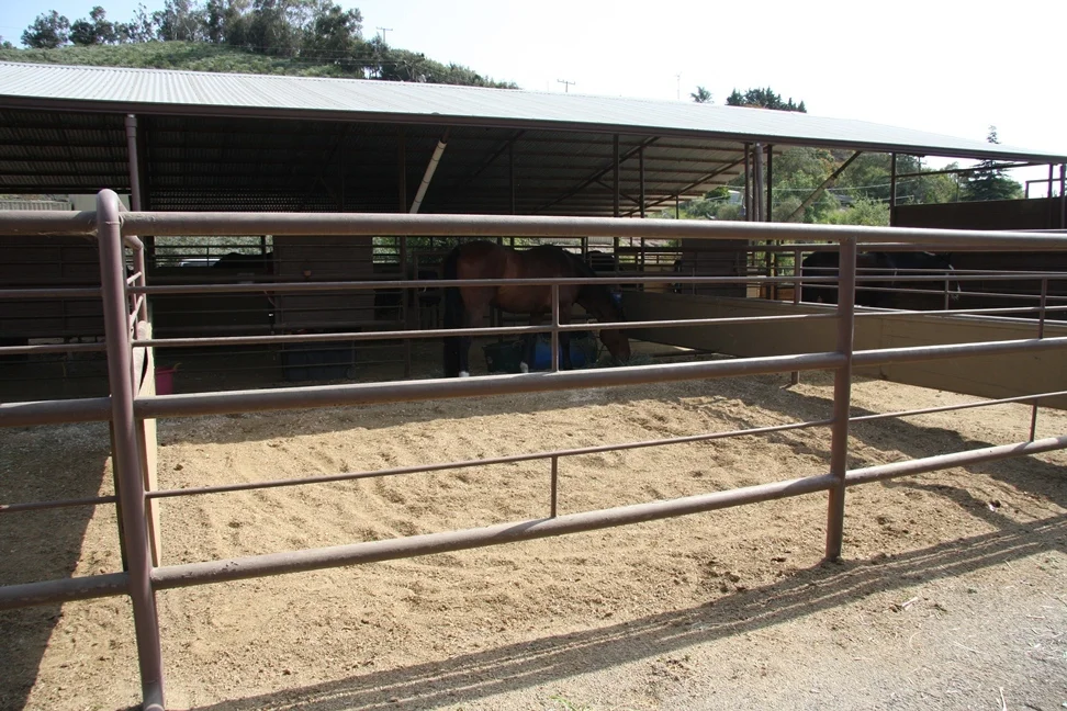 The exterior of a stall in Pine.