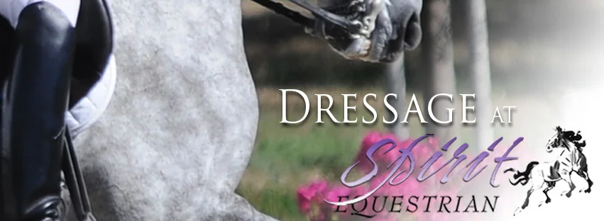 SpiritEquestrianFacebookDressagePurple2015+Final.jpg