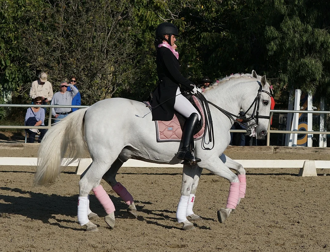 Pink Show 2018