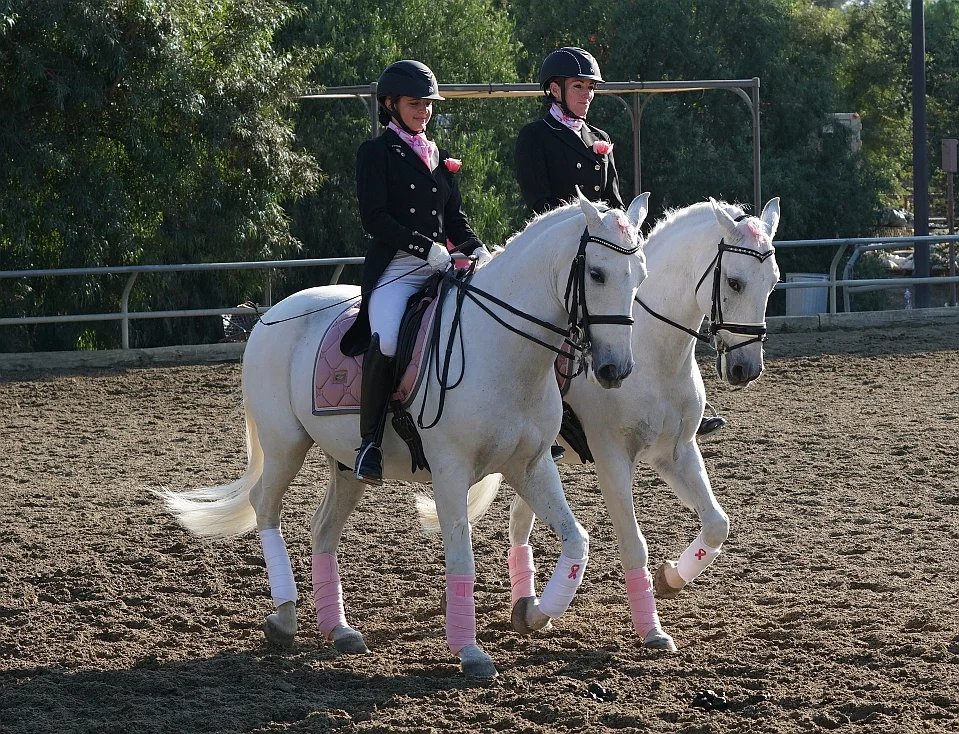 Pink Show 2018