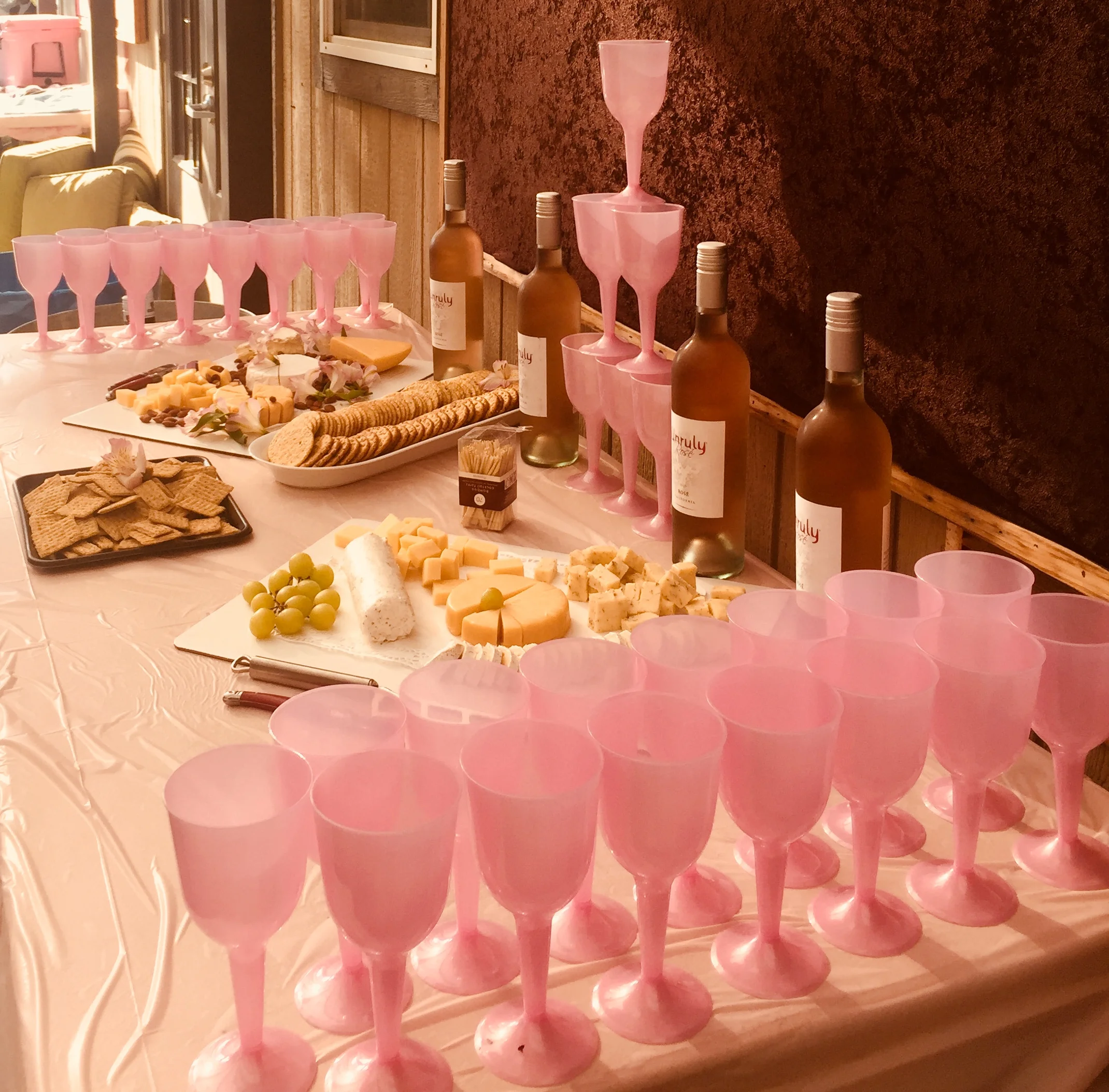 Pink Show - Wine and Cheese Reception