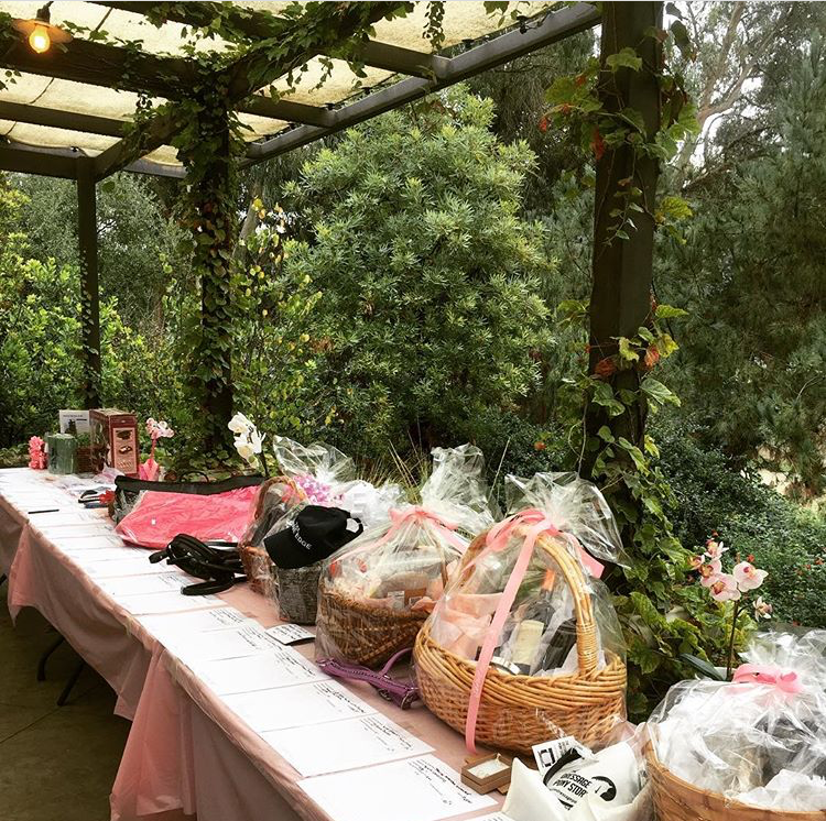 October Dressage Show (Breast Cancer Awareness)