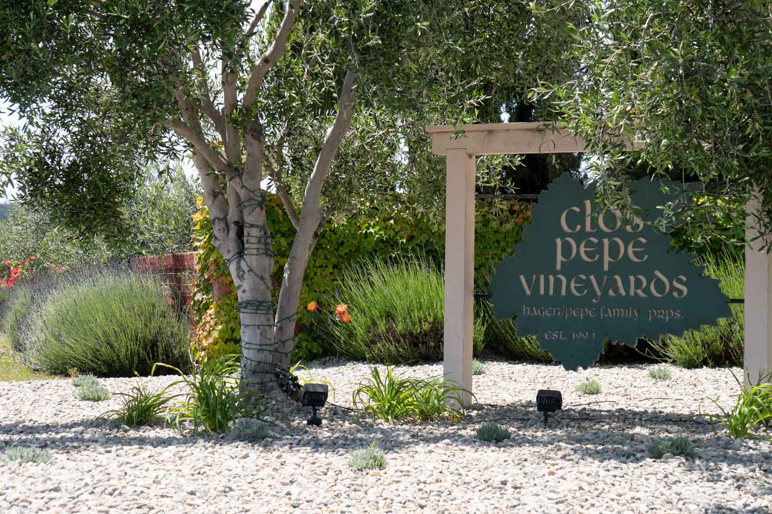 revisit-wine-co-clos-pepe-sign.jpg