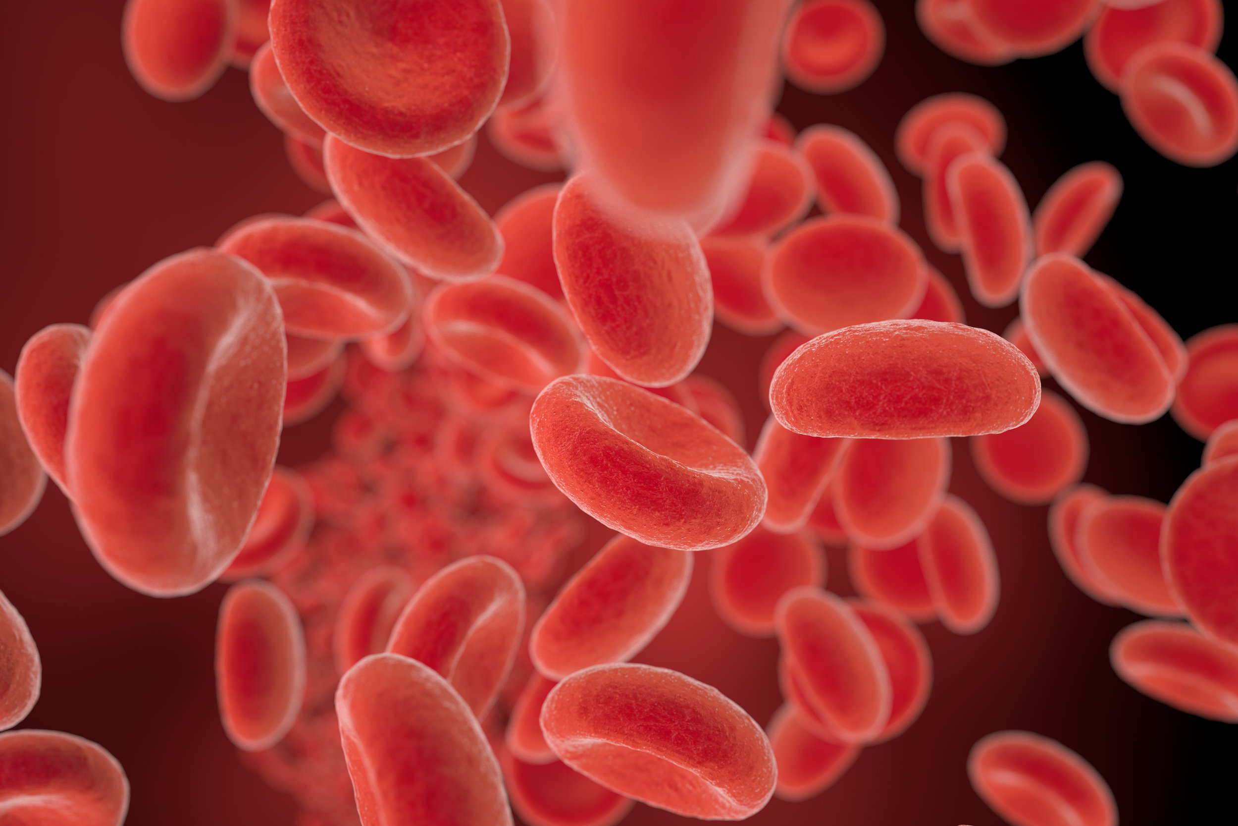 red-blood-cells-flowing-in-a-vessel-3d-PXCJSPS.jpg