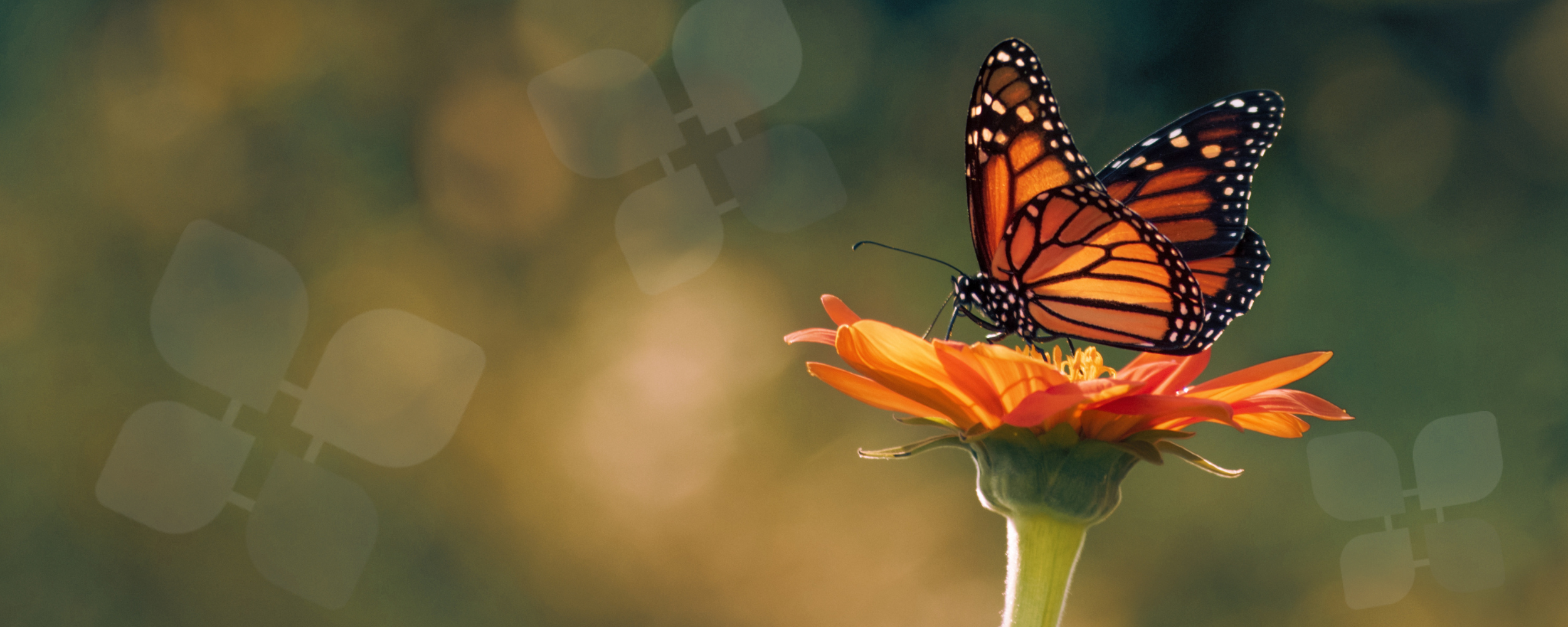 “This Is Where I Hold Him”: How One Mother's Grief Became a Lifeline for Hundreds of Families