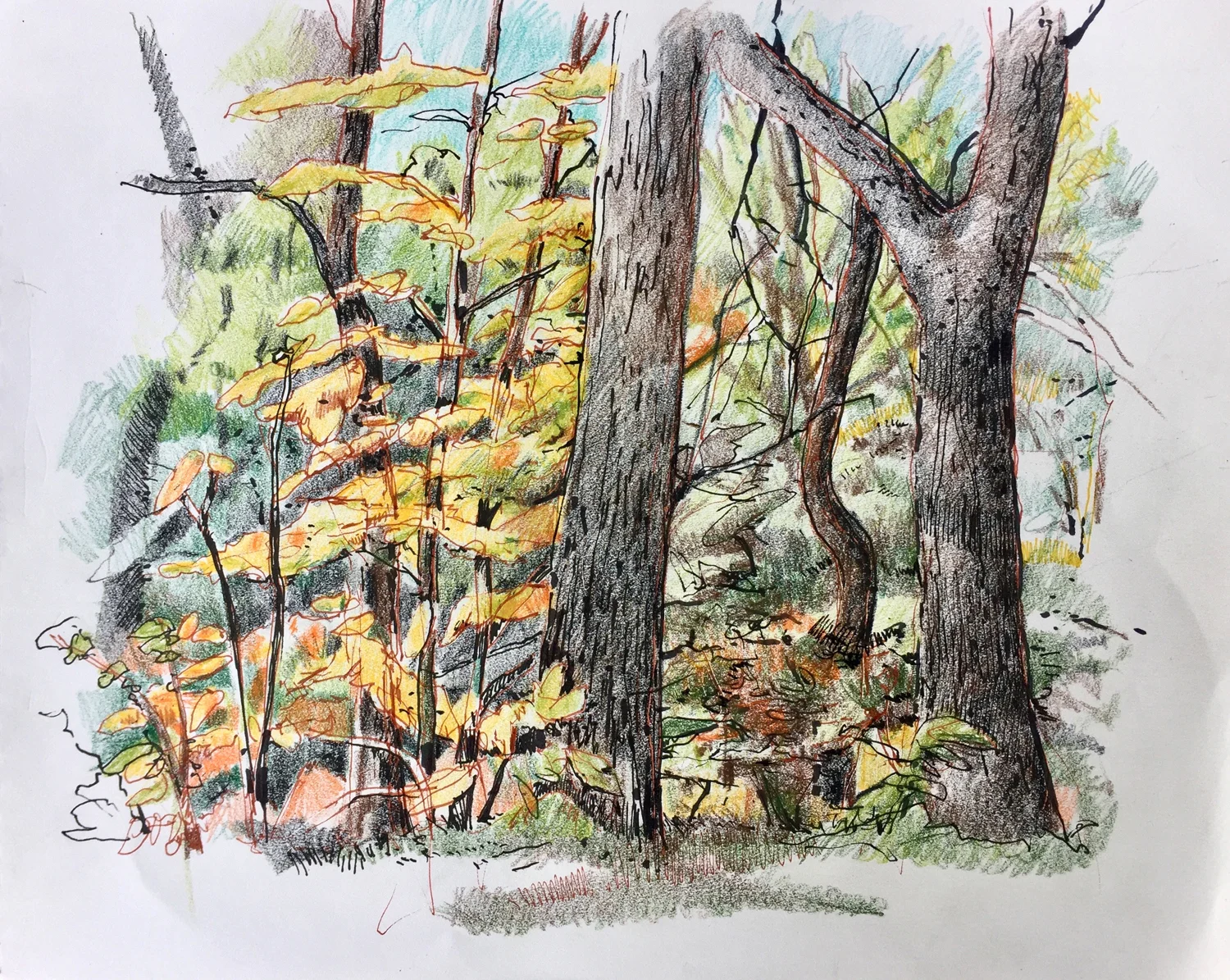 JB_drawings_10.jpg