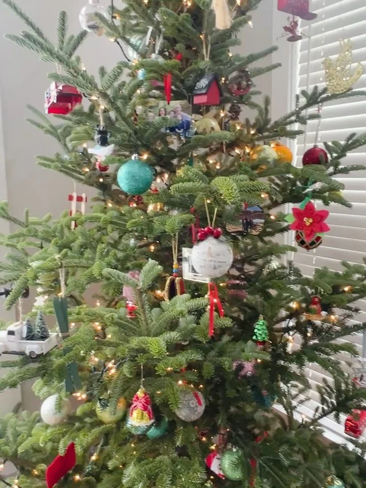 Excited to share some new favorite holiday picture books! A few are new releases and others are new-to-us! And check out the hashtag below for more ⬇️📚🎄
#livingbythepage_christmas