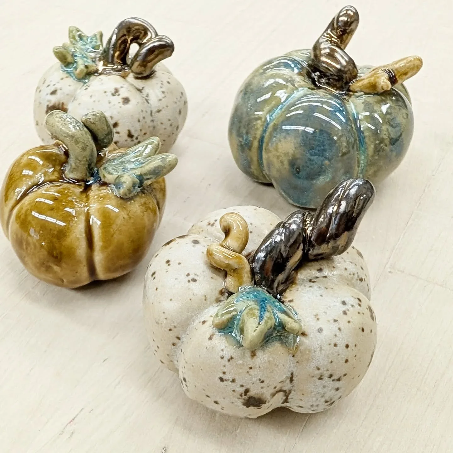 Mini pumpkins looking so cute! Come see them in person tomorrow at @themakershivemarket @farmhousecollective