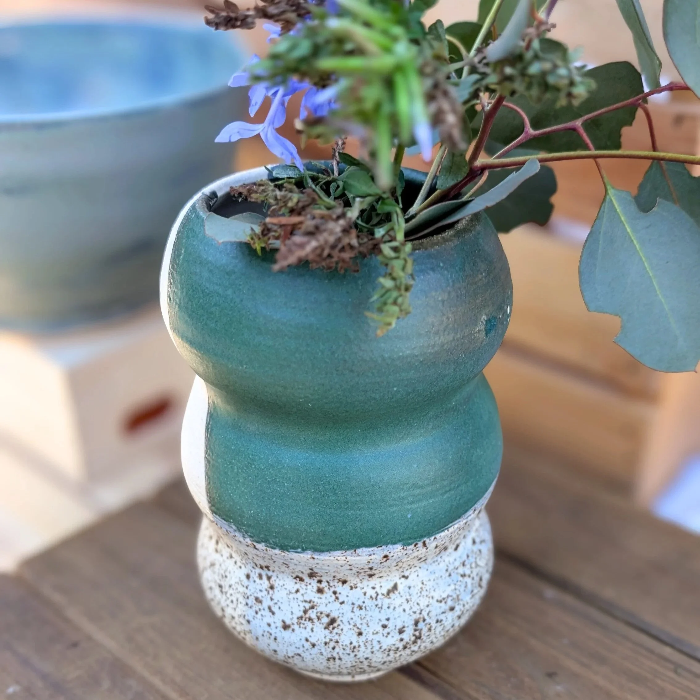 Close-up of a small, round ceramic flowerpot with a textured, speckled white and brown base, containing a plant with green leaves and delicate light blue flowers, placed on a wooden surface.