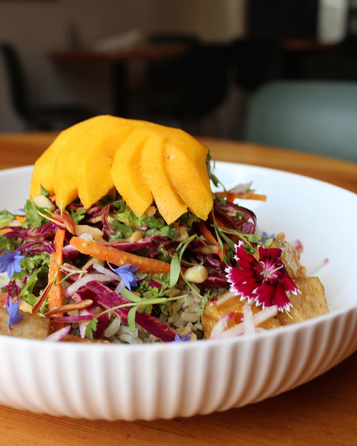 Indulge in the vibrant summer flavours of our new dinner bowls at Heirloom! 🍲✨ ⁠
⁠
Discover the NOODLE BOWL with spicy tofu, rice noodles, and a delightful mix of veggies, herbs, and cashews. ⁠
⁠
Or savor the FALAFEL BOWL featuring crispy falafel, z