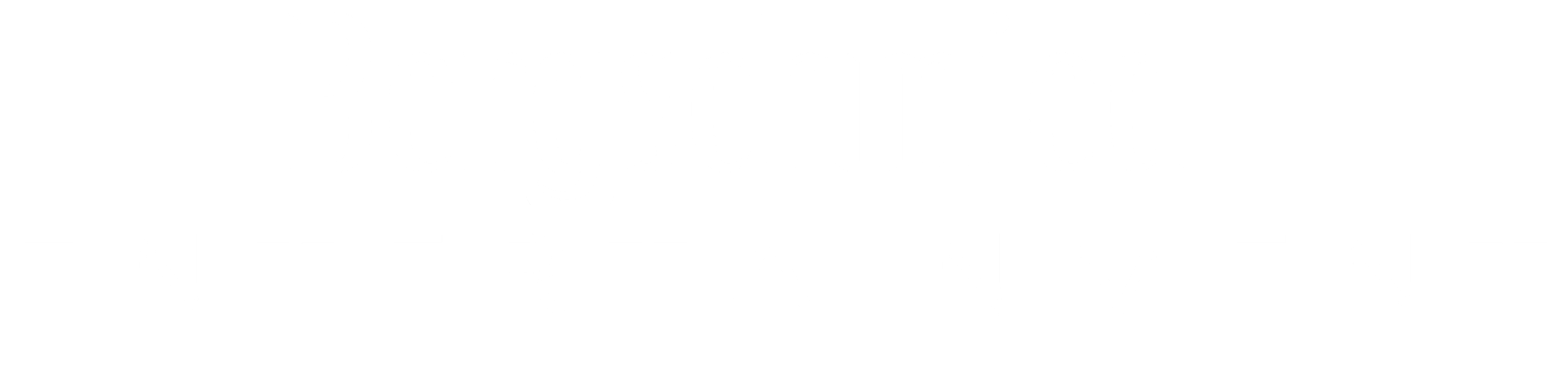 Schriftzug weiß holo.png