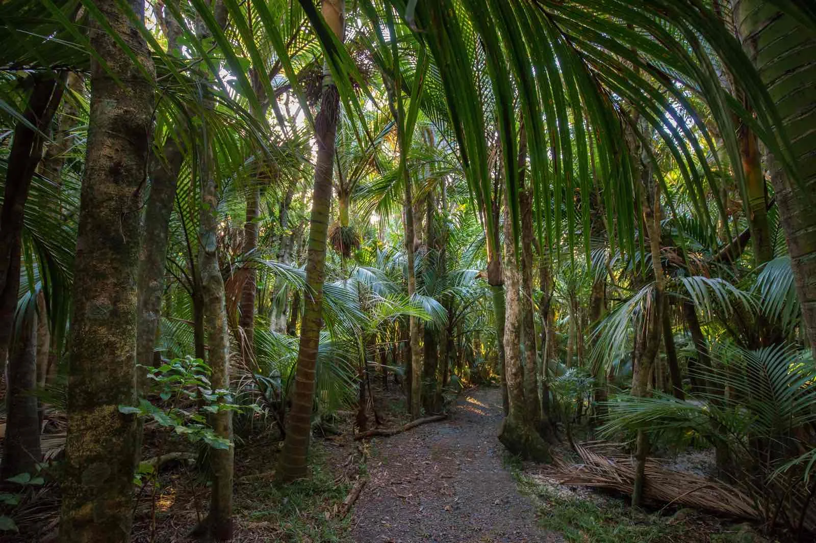 luxury escapes nz